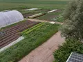 MachmitGarten, Biogemüse-Gärtnerei in Vaterstetten